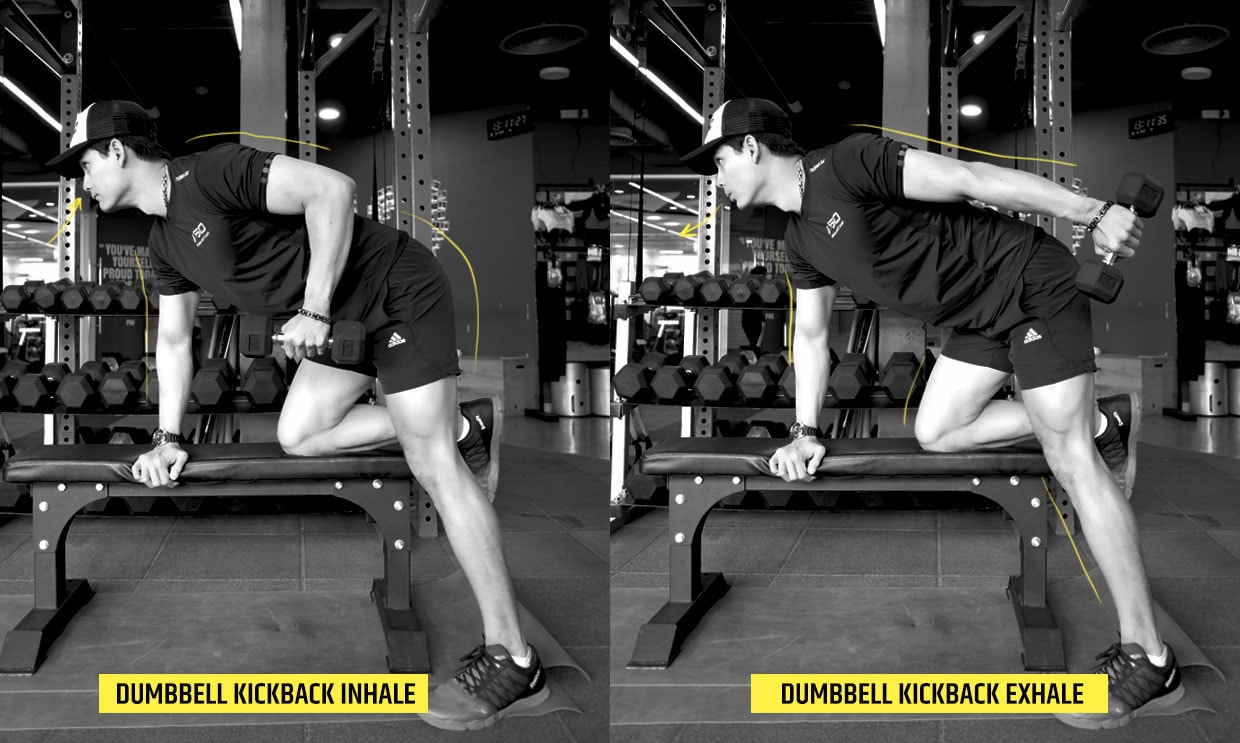 วิธีการหายใจเวลาออกกําลังกาย Urban Creature