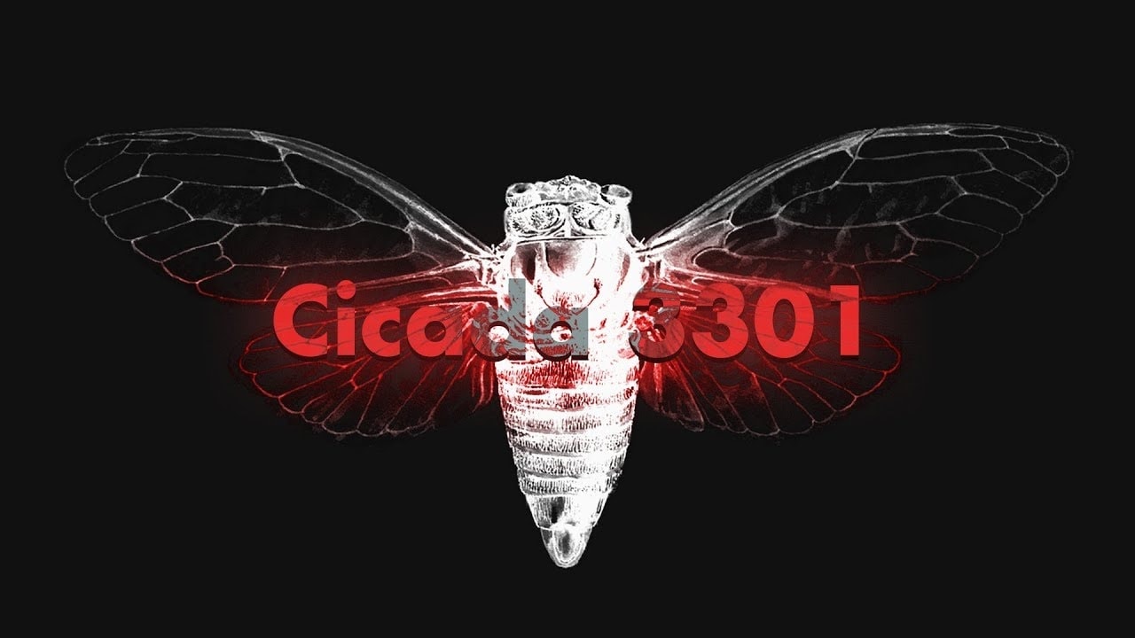 Cicada 3301 Urban Creature   9 