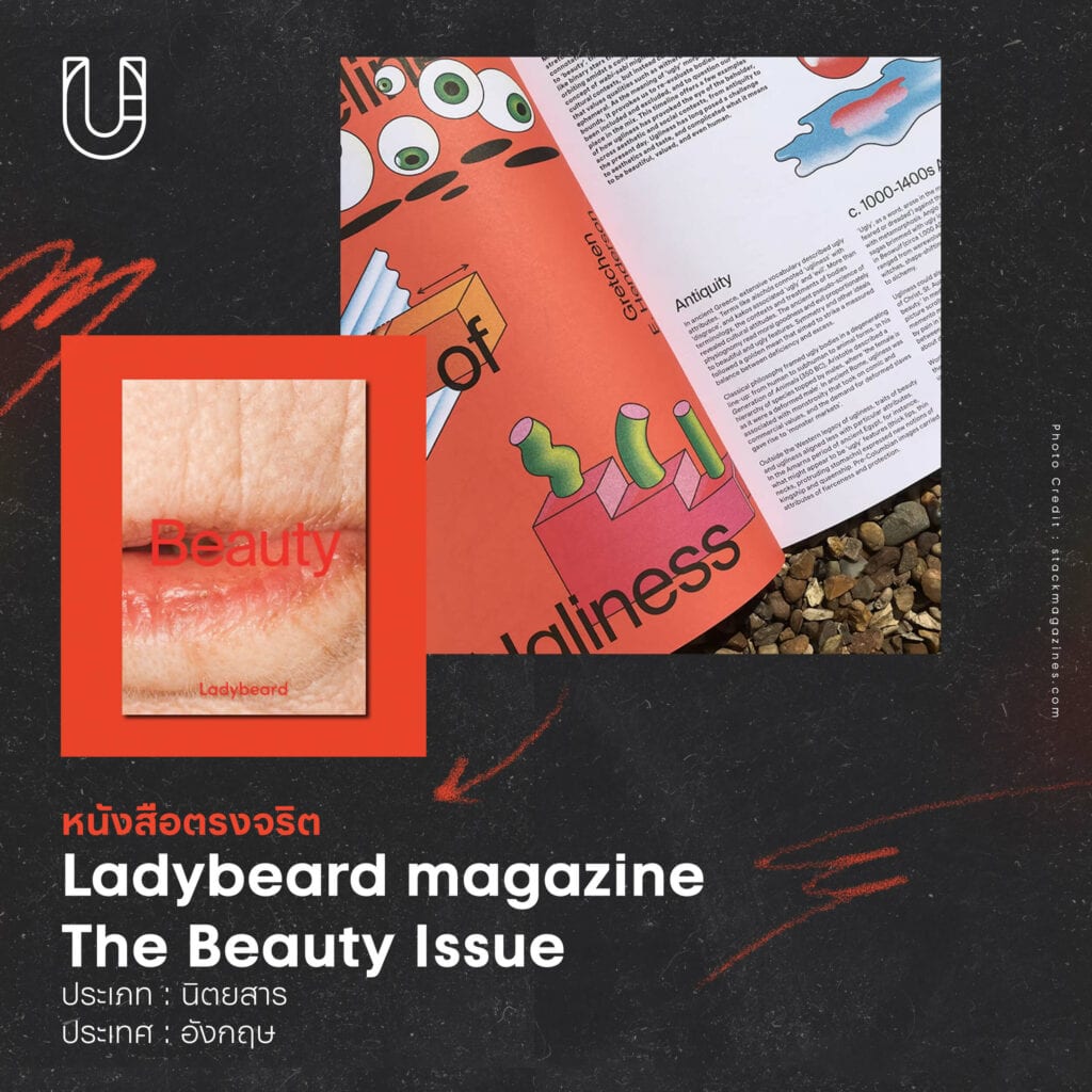 นิตยสาร Ladybeard magazine - The Beauty Issue วาดฟ้า