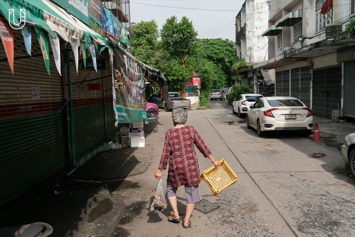 Bangkok eyes 02/50 เขตหนองจอก Urban Creature