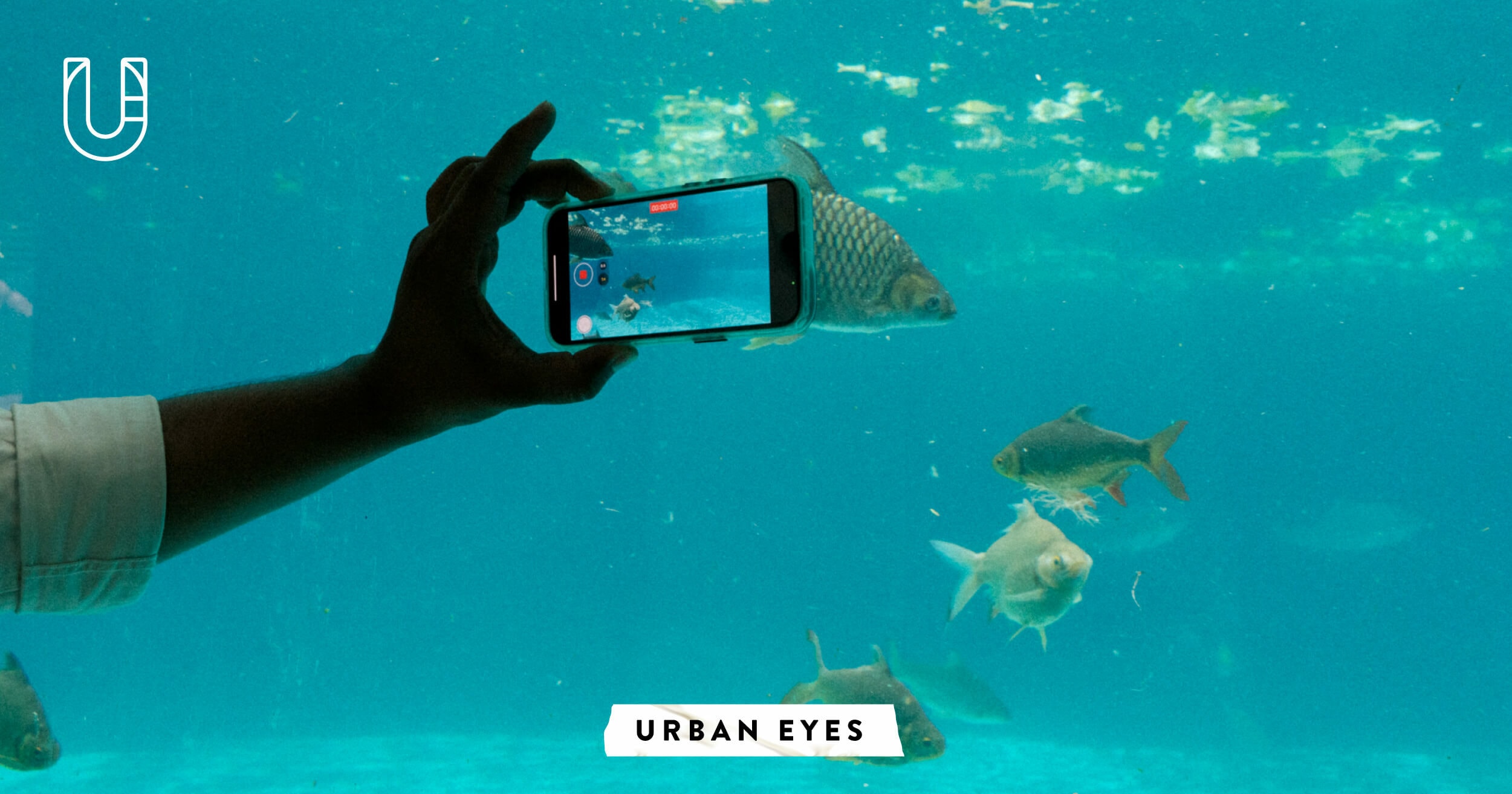 Urban Eyes 04/50 เขตคลองสามวา Urban Creature