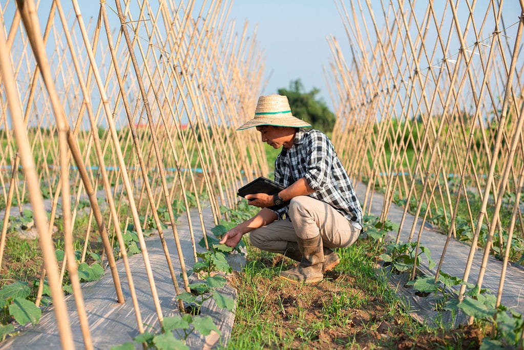 ‘มีข้อมูลดี ก็ทำเกษตรดี’ ช่องทางความรู้จากสยามคูโบต้า ที่อยากเป็นเพื่อนคู่เกษตรกรยุคใหม่