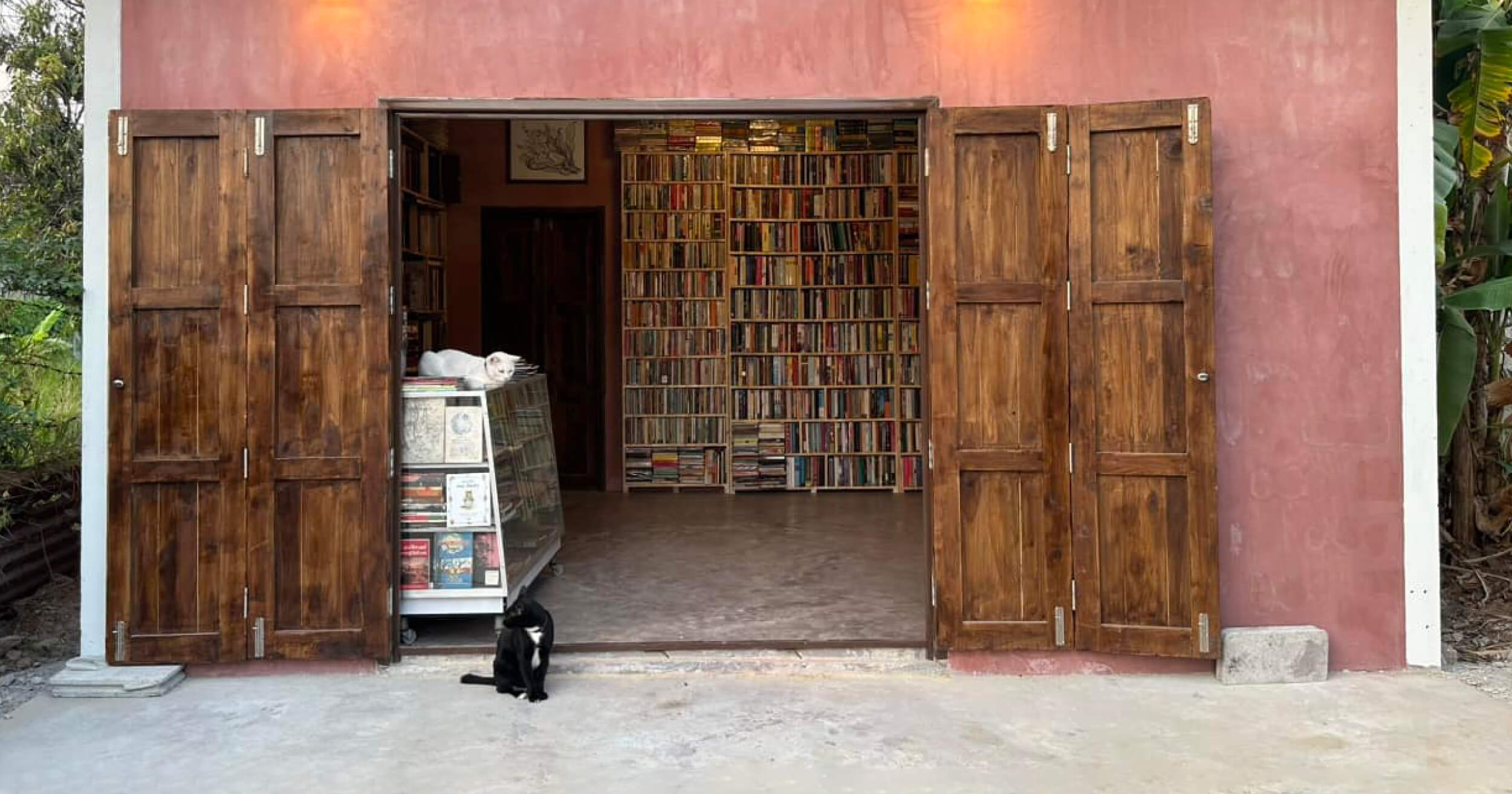ghost cat bookstore