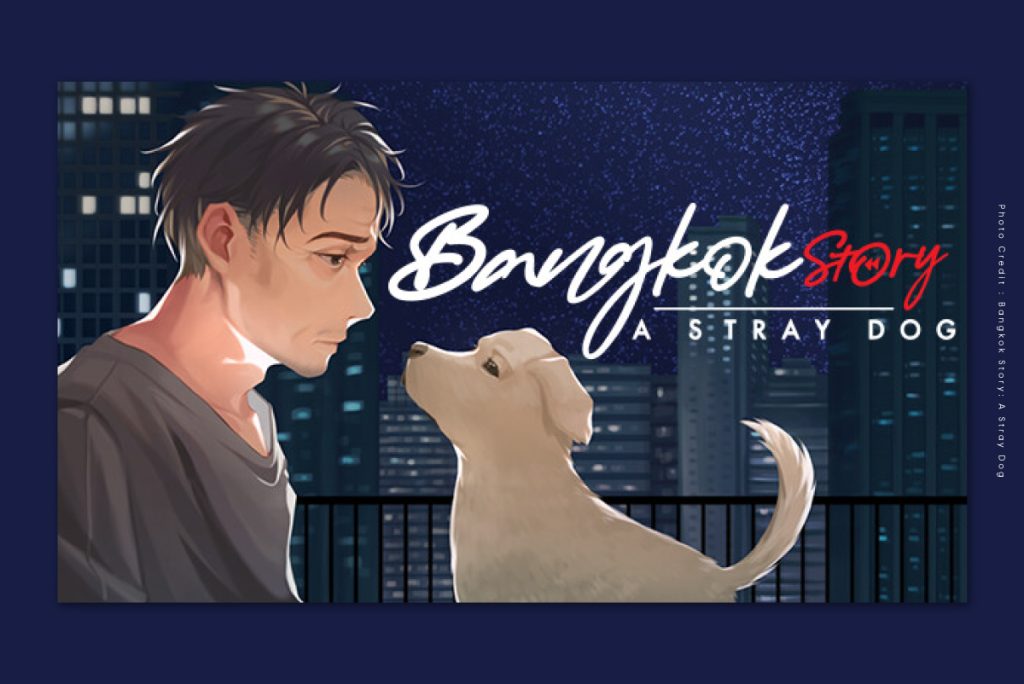 bangkok story a stray dog