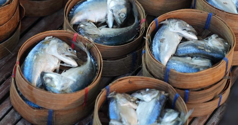 ปลาทูไทยหายไปไม่ใช่เรื่องเพ้อฝัน เพราะมันอาจจะกลายเป็นเรื่องจริงในอนาคต ขนาดทุกวันนี้ ปลาทูที่เรากินกันก็ยังไม่ใช่ปลาทูไทย แต่อาจเป็นปลาทูจากอินโดนีเซีย! . ช่วงระยะหลายปีที่ผ่านมา จำนวนปลาทูในท้องทะเลไทยลดฮวบอย่างน่าตกใจกว่า 10 เท่า แถมปลาทูยังมีขนาดตัวเล็กลงเรื่อยๆ ด้วย ซึ่งต้นตอของปัญหามีหลายสาเหตุด้วยกัน ไม่ว่าจะเป็นการทำประมงเกินขนาด กฎหมายการประมงที่ไม่เข้มงวด หรือการเปลี่ยนแปลงสภาพภูมิอากาศที่ทำให้ท้องทะเลร้อนระอุขึ้น . แม้จำนวนปลาจะลดลง แต่ความต้องการของตลาดอาหารทะเลไม่ได้ลดตาม จนประเทศไทยต้องนำเข้าปลาทูจากอินโดนีเซียมารองรับ ถ้าหากวงจรชีวิตปลาทูไทยยังถูกคุกคามโดยไม่มีอะไรเปลี่ยนแปลง ในอีก 20 - 30 ปีข้างหน้า ก็ถึงเวลาที่ปลาทูไทยจะสาบสูญไปจากท้องทะเล . เพื่อไม่ให้ฝันร้ายกลายเป็นจริง Pulitzer Center เลยชวนทุกคนมาร่วมส่งเสียงเล่าปัญหาปลาทูไทย ด้วยการแชร์ภาพเมนูปลาทูของตัวเอง ติดแฮชแท็ก #imissyouplatuthai และแนบลิงก์ Infographic จาก Pulitzer Center ที่บอกเล่าปัญหาอันน่าตกใจ พร้อมแท็ก ‘@pulitzercenter’ หรือใครอยากแชร์รายงานข่าว ปัญหาปลาทูไทย ของ Pulitzer Center ติดไปด้วยก็ได้เช่นกัน . ไม่เพียงเท่านั้น ยังมีการจัดนิทรรศการศิลปะ ‘I MISS YOU ปลาทูไทย’ ที่ได้ พงษ์พันธ์ สุริยภัทร และ ต่อจันทน์ แคทริน สองศิลปินมาสื่อสารปัญหาผ่านงานศิลปะอีกด้วย โดยนิทรรศการนี้จัดขึ้นตลอดเดือนมิถุนายน ที่ Art4C, Gallery and Creative Learning Space . มาส่งเสียงกันเยอะๆ เพื่อให้ปลาทูไทยอยู่กับเราไปนานๆ