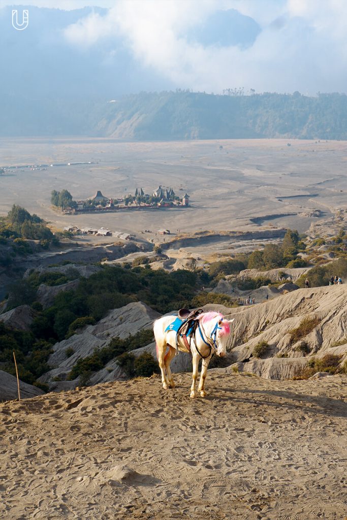 MT. BROMO ภูเขาไฟโบรโม อินโดนีเซีย