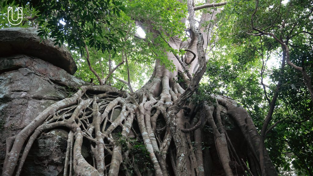 นักเรียนเดินป่ารุ่นที่ 1 อุทยานแห่งชาติน้ำพอง นักเดินป่า ธรรมชาติ เดินป่า อีสาน