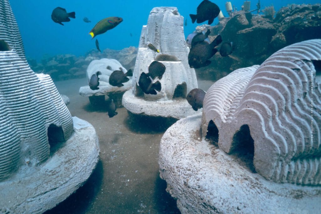 Resting Reef Pet Memorials