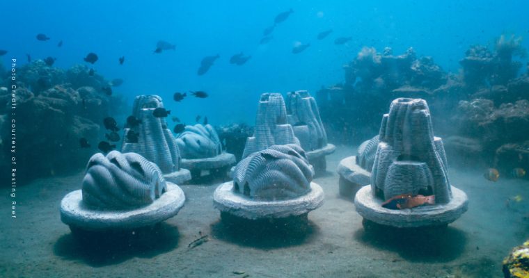 Resting Reef Pet Memorials