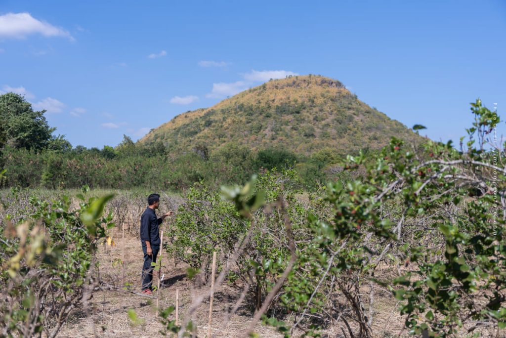 Isan Calling at Jim Thompson Farm