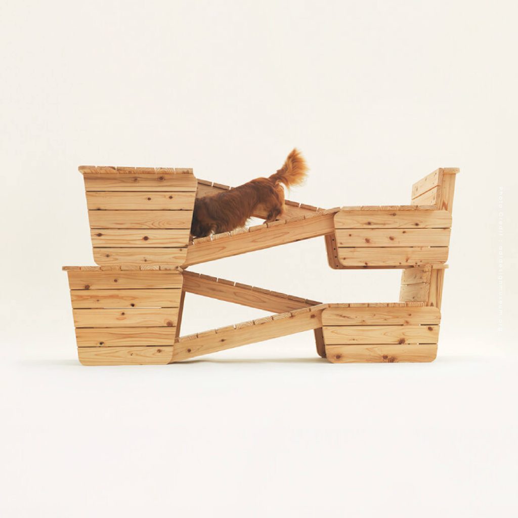 Architecture For Dogs