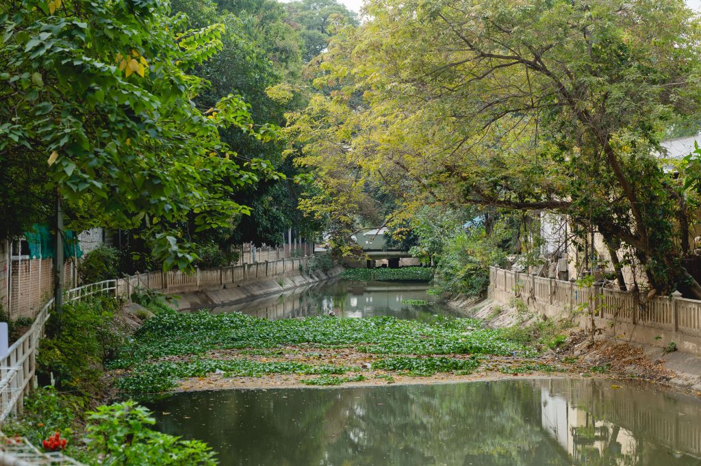 Mae Kha City Lab แม่ข่าซิตี้แลป เชียงใหม่ สวนสาธารณะ สวนเกสรและดอกไม้ คลองแม่ข่า 