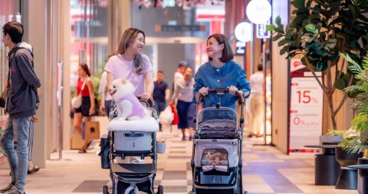 Park Silom โครงการมิกซ์ยูส เปิดโซน Pet-friendly สัตว์เลี้ยง หมา แมว