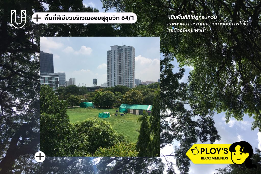 พื้นที่สีเขียวบริเวณซอยสุขุมวิท 64/1 ปุณณวิถี