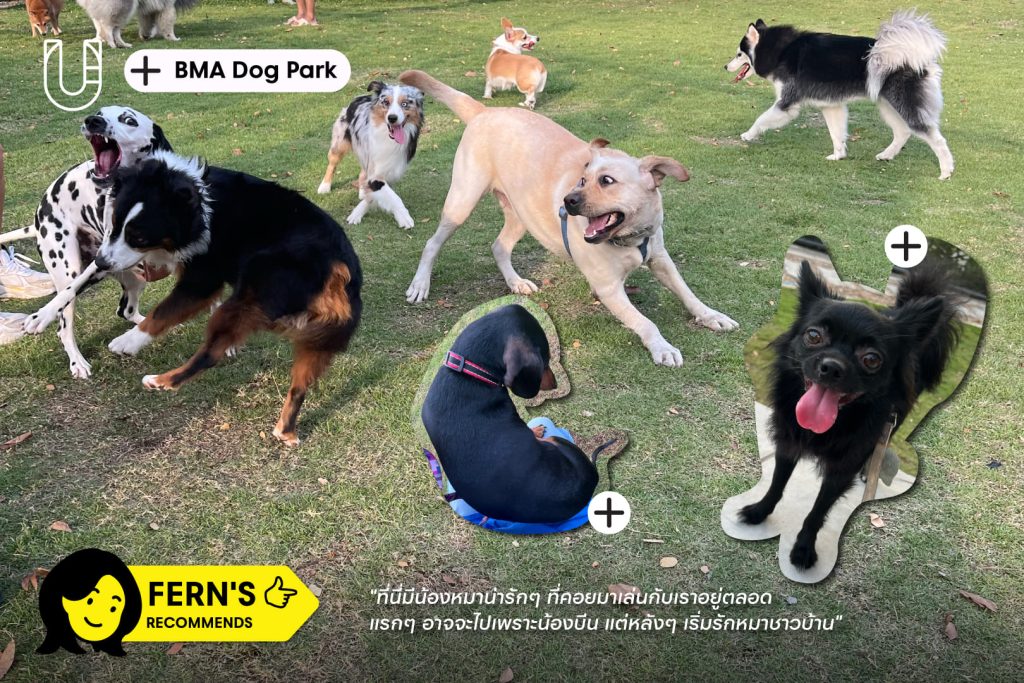 บางบอน เทียนทะเล พระราม 2 BMA Dog Park