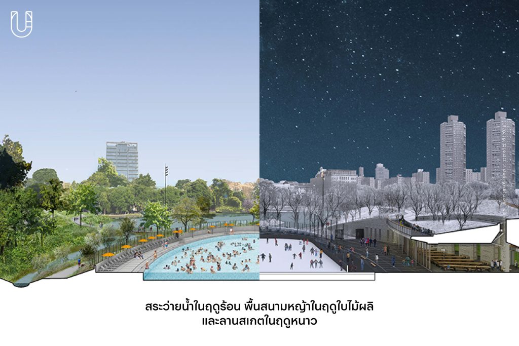 Davis Center ศูนย์กิจกรรม Central Park New York นิวยอร์ก สระว่ายน้ำ ธรรมชาติ