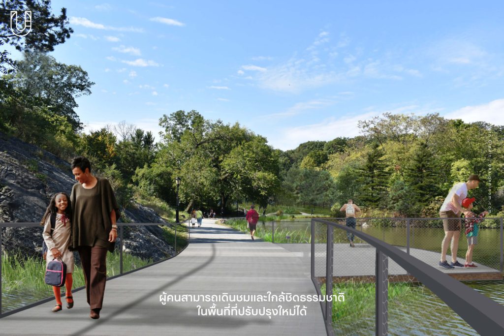 Davis Center ศูนย์กิจกรรม Central Park New York นิวยอร์ก สระว่ายน้ำ ธรรมชาติ