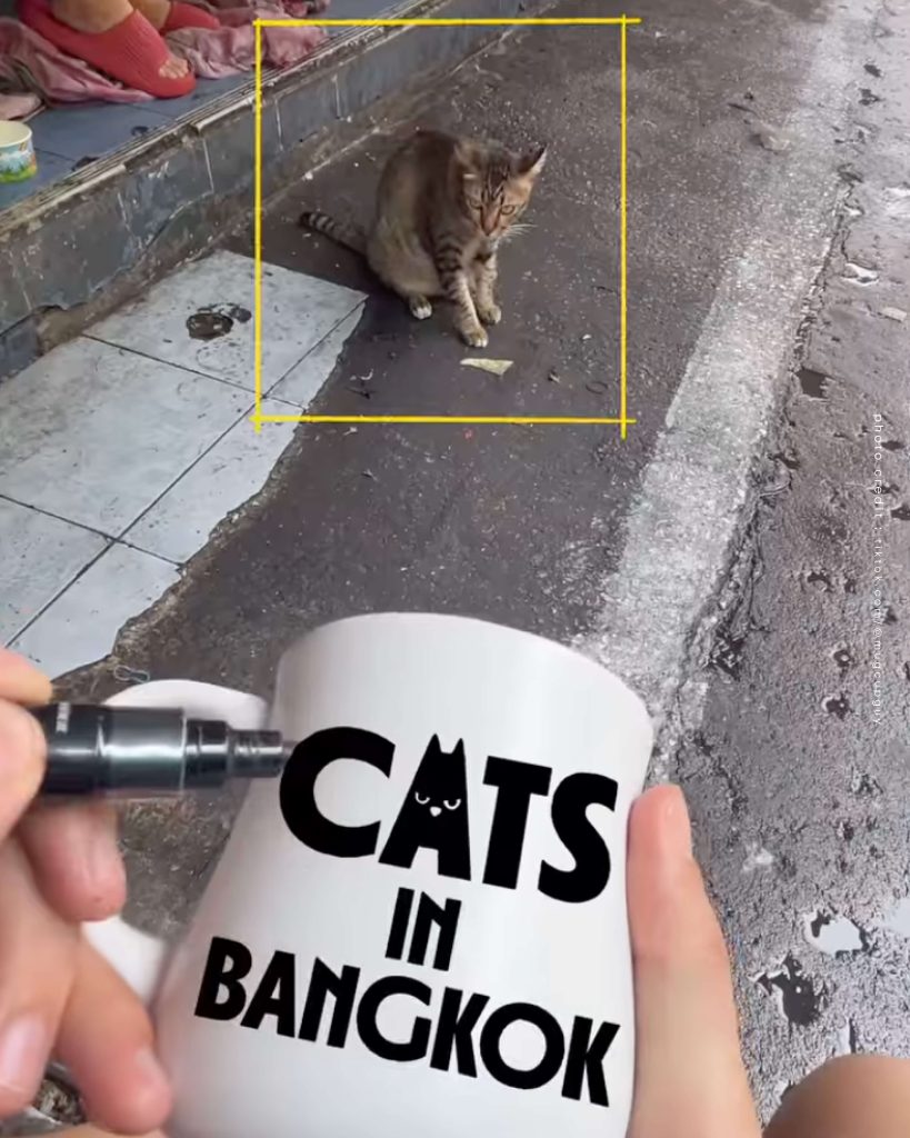 mugcupguy แก้ว โซล เกาหลีใต้ กรุงเทพ ศิลปินวาดภาพเมือง แมว