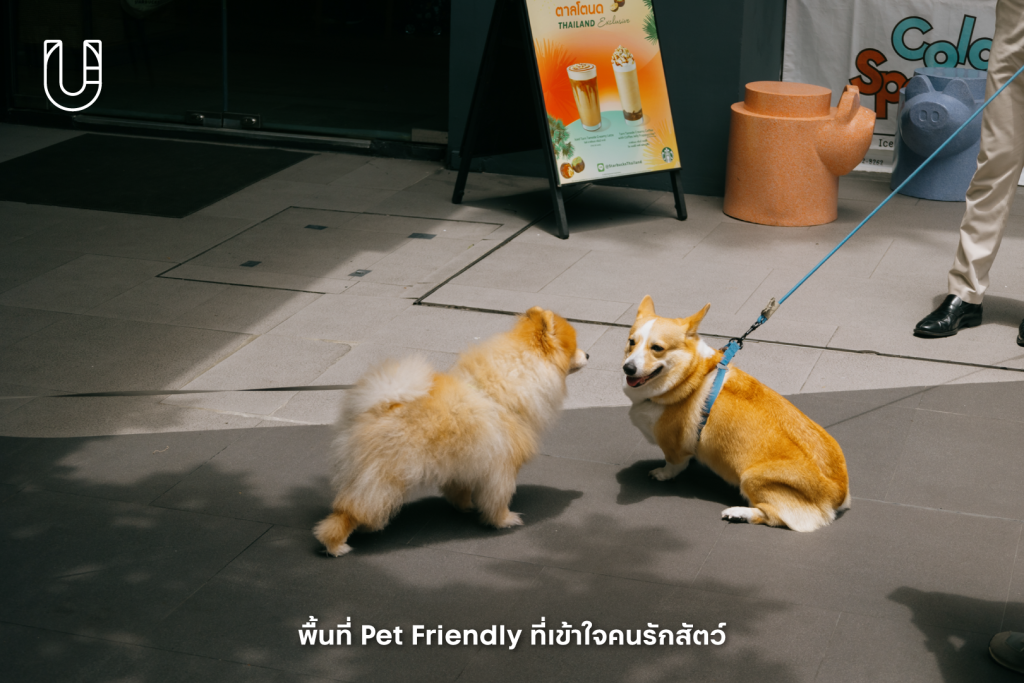 T77 Community Sansiri สุขุมวิท อ่อนนุช Habito คอมมูนิตี้มอลล์ พักผ่อน พื้นที่สาธารณะ พื้นที่สีเขียว