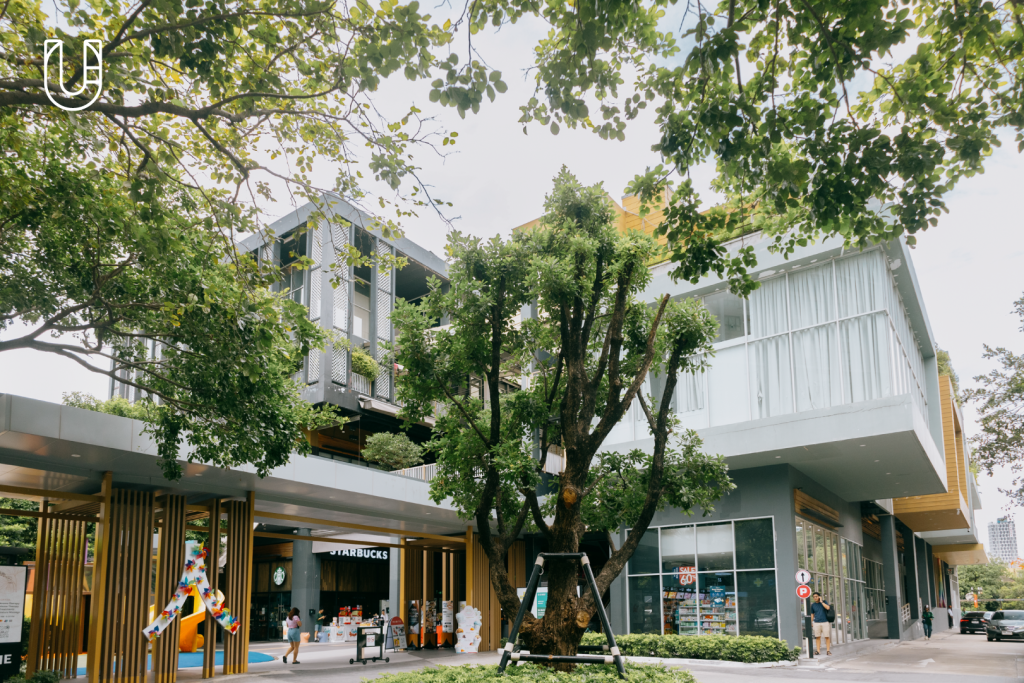 T77 Community Sansiri สุขุมวิท อ่อนนุช Habito คอมมูนิตี้มอลล์ พักผ่อน พื้นที่สาธารณะ พื้นที่สีเขียว