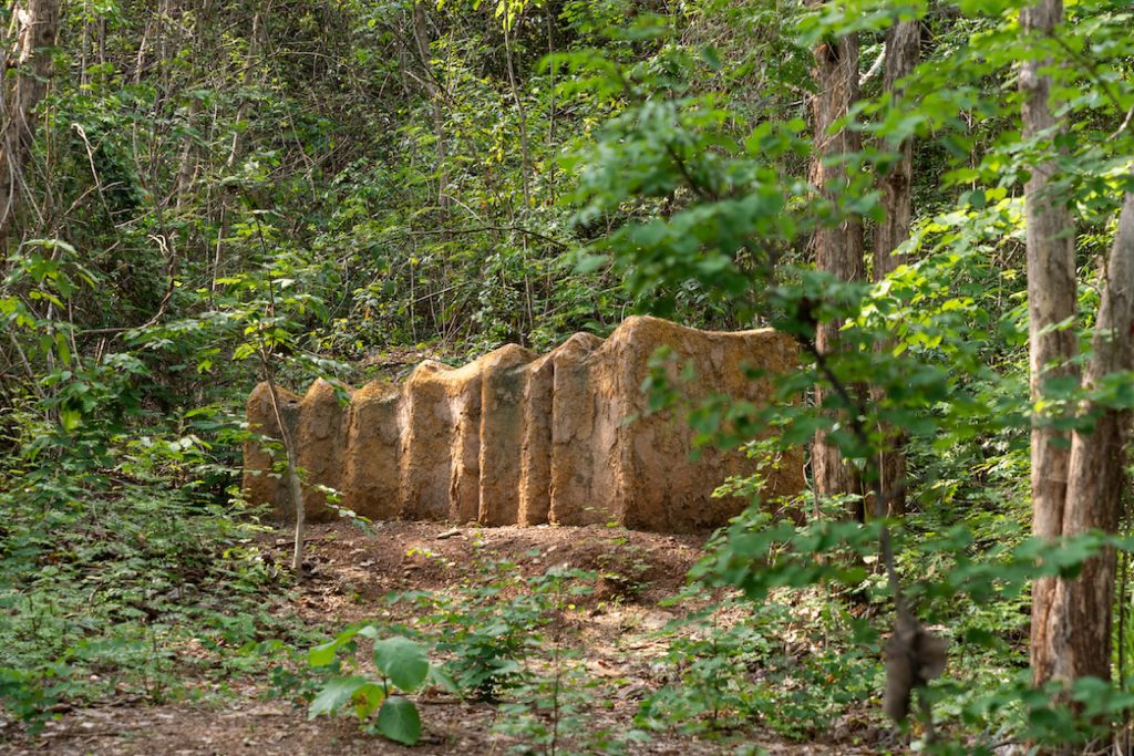 ศิลป่า Khao yai art forest เขาใหญ่ พื้นที่สีเขียว ป่า งานศิลปะ หิน ต้นไม้