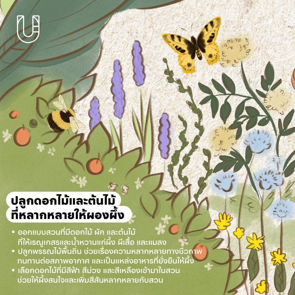 เมืองผึ้ง การออกแบบเมือง ผีเสื้อ แมลง ผึ้ง ธรรมชาติ สิ่งแวดล้อม ต้นไม้ สวนสาธารณะ ความหลากหลายทางชีวภาพ