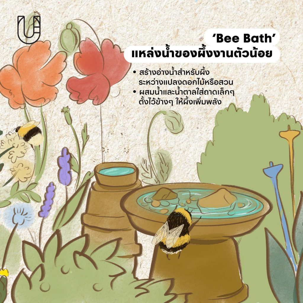 เมืองผึ้ง การออกแบบเมือง ผีเสื้อ แมลง ผึ้ง ธรรมชาติ สิ่งแวดล้อม ต้นไม้ สวนสาธารณะ ความหลากหลายทางชีวภาพ