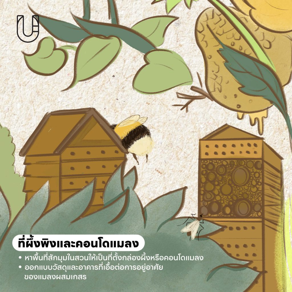 เมืองผึ้ง การออกแบบเมือง ผีเสื้อ แมลง ผึ้ง ธรรมชาติ สิ่งแวดล้อม ต้นไม้ สวนสาธารณะ ความหลากหลายทางชีวภาพ