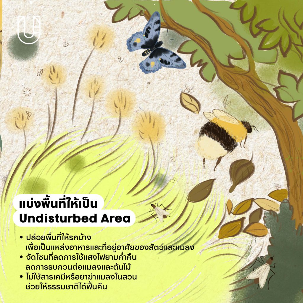 เมืองผึ้ง การออกแบบเมือง ผีเสื้อ แมลง ผึ้ง ธรรมชาติ สิ่งแวดล้อม ต้นไม้ สวนสาธารณะ ความหลากหลายทางชีวภาพ