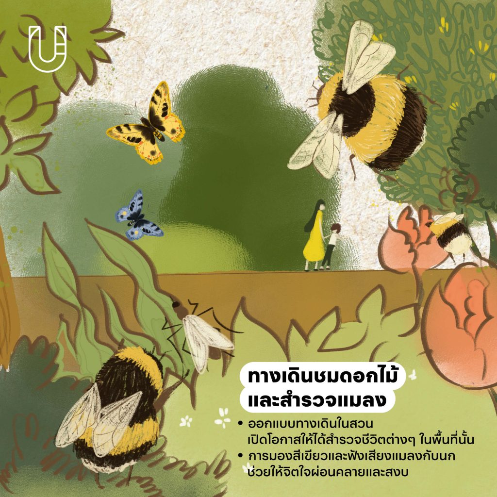 เมืองผึ้ง การออกแบบเมือง ผีเสื้อ แมลง ผึ้ง ธรรมชาติ สิ่งแวดล้อม ต้นไม้ สวนสาธารณะ ความหลากหลายทางชีวภาพ