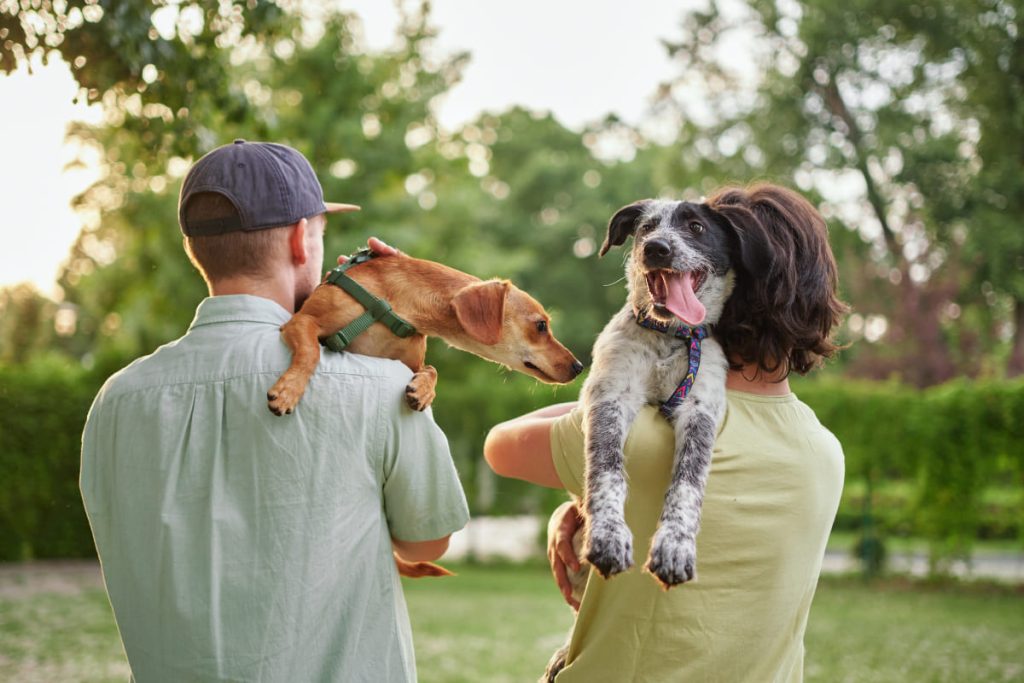 Pet Friendly สัตว์เลี้ยง หมา แมว เติมหมา เติมแมว เมือง สุขภาพจิต