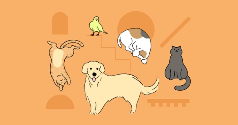 Pet Friendly สัตว์เลี้ยง หมา แมว เติมหมา เติมแมว เมือง สุขภาพจิต