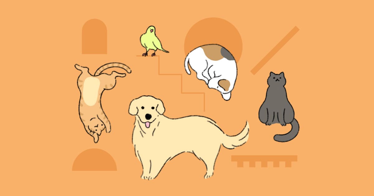 Pet Friendly สัตว์เลี้ยง หมา แมว เติมหมา เติมแมว เมือง สุขภาพจิต