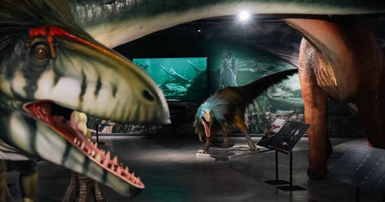 Thainosaur ไดโนเสาร์ ไดโนเสาร์พันธุ์ไทย นิทรรศการ ท่าพิพิธภัณฑ์ Museum Pier โครงการท่าช้าง วังหลัง สัตว์ดึกดำบรรพ์ จูราสสิค