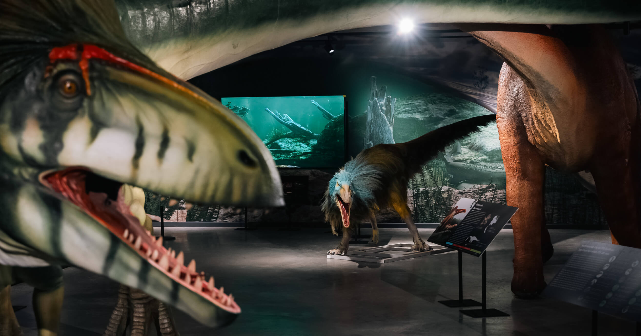 Thainosaur ไดโนเสาร์ ไดโนเสาร์พันธุ์ไทย นิทรรศการ ท่าพิพิธภัณฑ์ Museum Pier โครงการท่าช้าง วังหลัง สัตว์ดึกดำบรรพ์ จูราสสิค