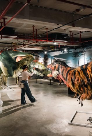 Thainosaur ไดโนเสาร์ ไดโนเสาร์พันธุ์ไทย นิทรรศการ ท่าพิพิธภัณฑ์ Museum Pier โครงการท่าช้าง วังหลัง สัตว์ดึกดำบรรพ์ จูราสสิค