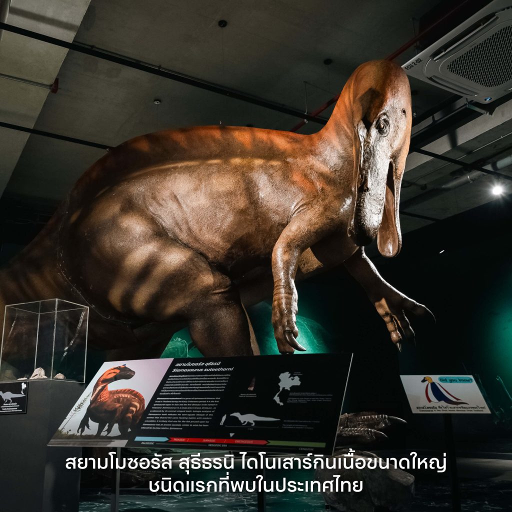 Thainosaur ไดโนเสาร์ ไดโนเสาร์พันธุ์ไทย นิทรรศการ ท่าพิพิธภัณฑ์ Museum Pier โครงการท่าช้าง วังหลัง สัตว์ดึกดำบรรพ์ จูราสสิค