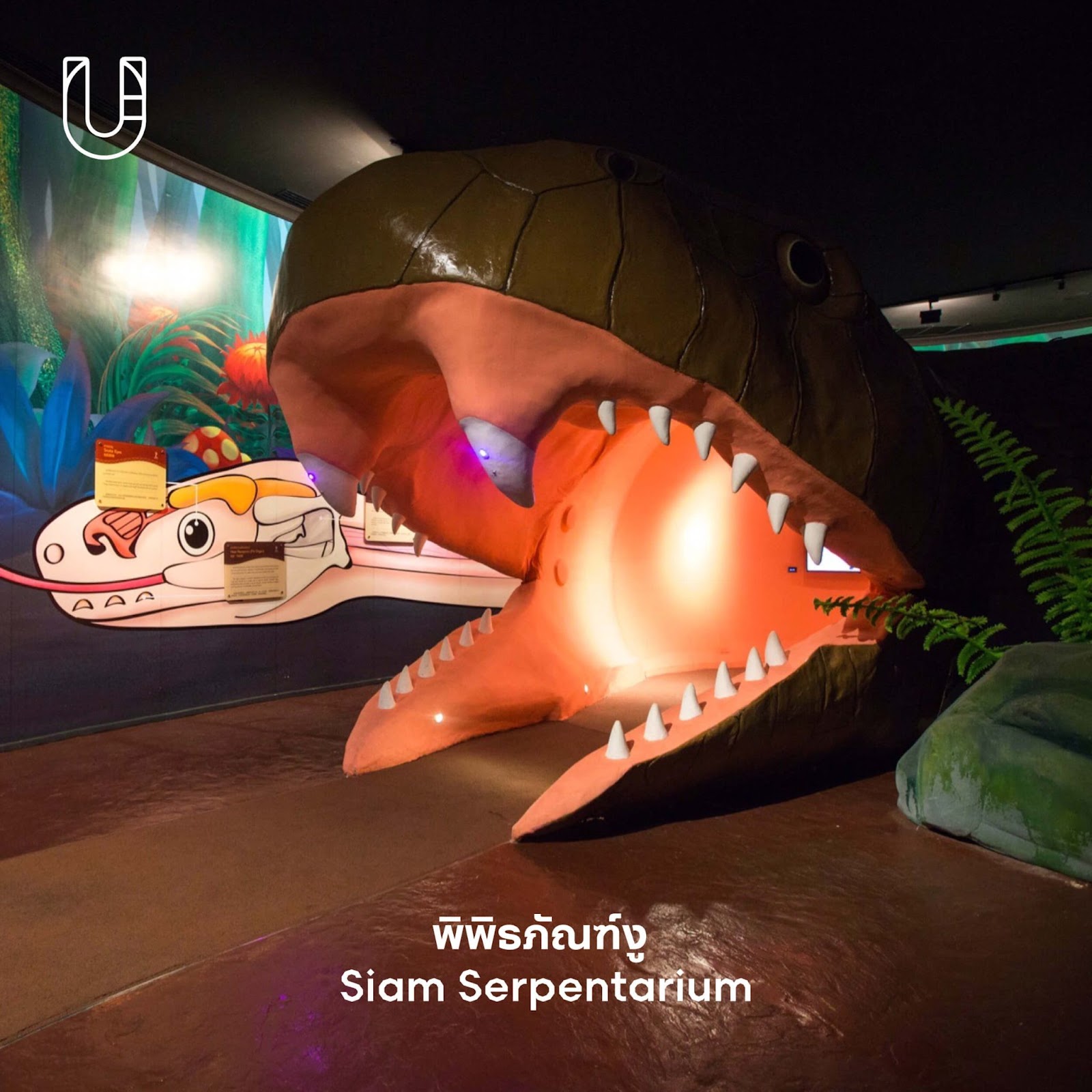 พิพิธภัณฑ์งู (Siam Serpentarium)