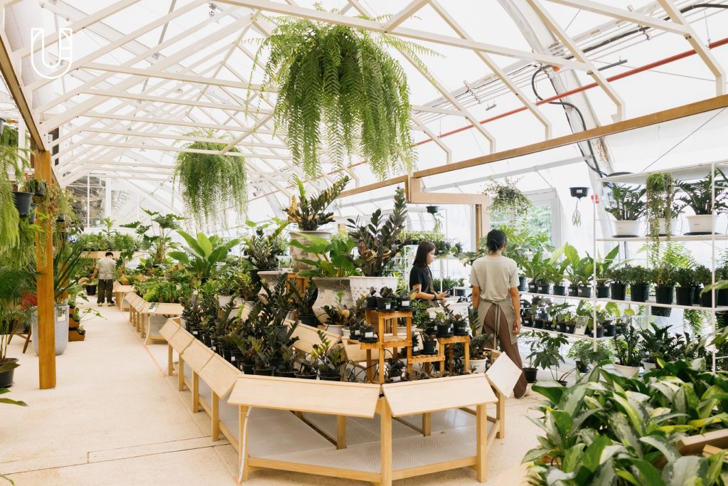 SAMA Garden บางนา ไบเทคบุรี พื้นที่สีเขียว ธรรมชาติ เมือง ไลฟ์สไตล์ ต้นไม้ ร้านอาหาร ชา สัตว์เลี้ยง