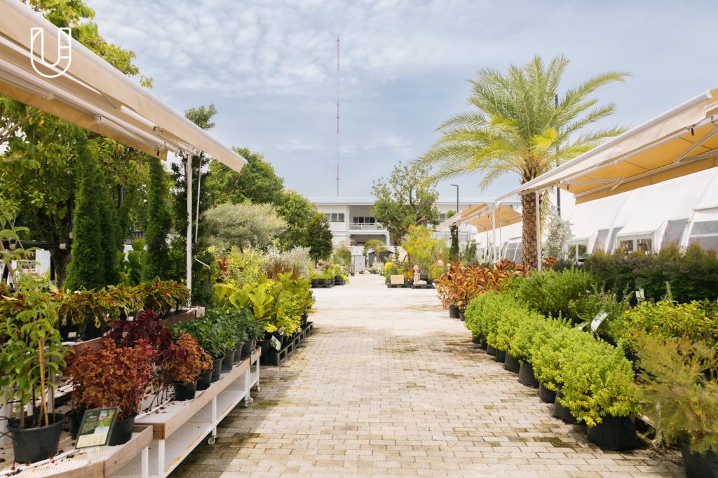 SAMA Garden บางนา ไบเทคบุรี พื้นที่สีเขียว ธรรมชาติ เมือง ไลฟ์สไตล์ ต้นไม้ ร้านอาหาร ชา สัตว์เลี้ยง
