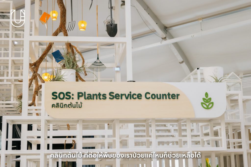 SAMA Garden บางนา ไบเทคบุรี พื้นที่สีเขียว ธรรมชาติ เมือง ไลฟ์สไตล์ ต้นไม้ ร้านอาหาร ชา สัตว์เลี้ยง