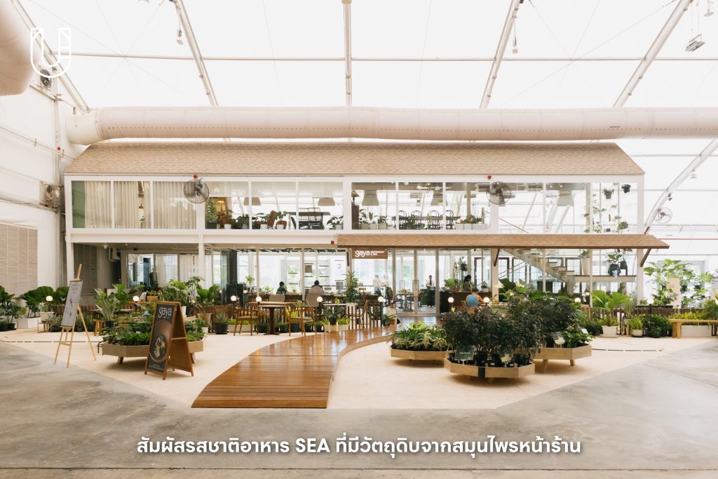 SAMA Garden บางนา ไบเทคบุรี พื้นที่สีเขียว ธรรมชาติ เมือง ไลฟ์สไตล์ ต้นไม้ ร้านอาหาร ชา สัตว์เลี้ยง