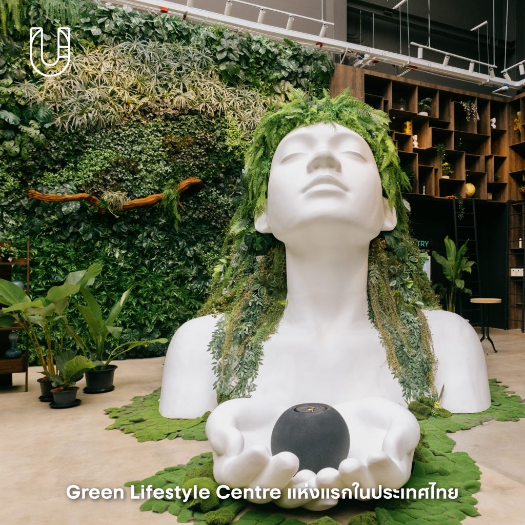 SAMA Garden บางนา ไบเทคบุรี พื้นที่สีเขียว ธรรมชาติ เมือง ไลฟ์สไตล์ ต้นไม้ ร้านอาหาร ชา สัตว์เลี้ยง