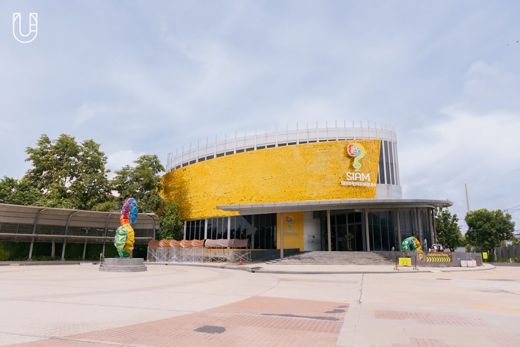 งู Siam Serpentarium พิพิธภัณฑ์งู สัตว์เลื้อยคลาน