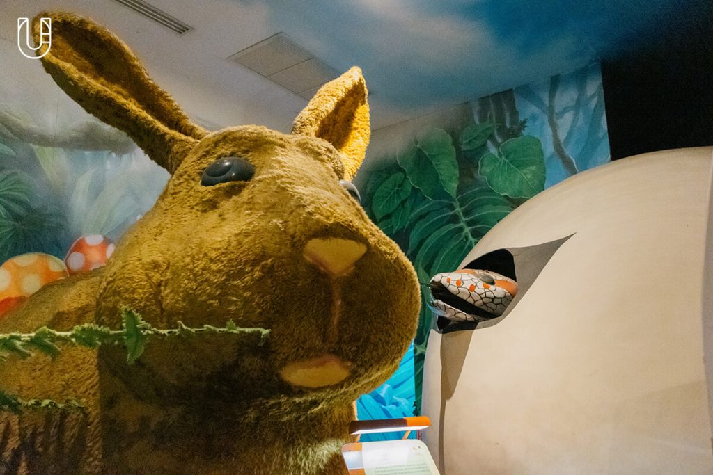 งู Siam Serpentarium พิพิธภัณฑ์งู สัตว์เลื้อยคลาน