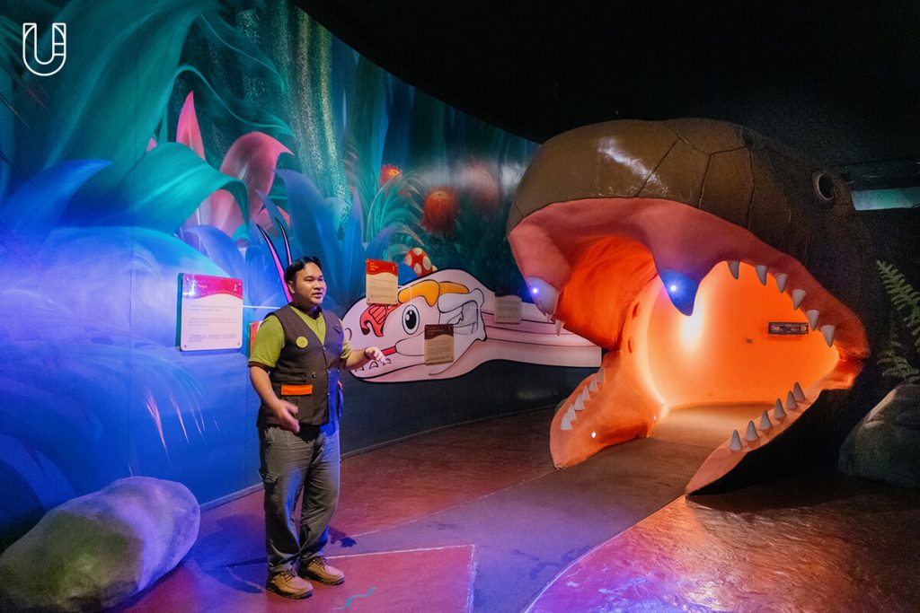 งู Siam Serpentarium พิพิธภัณฑ์งู สัตว์เลื้อยคลาน