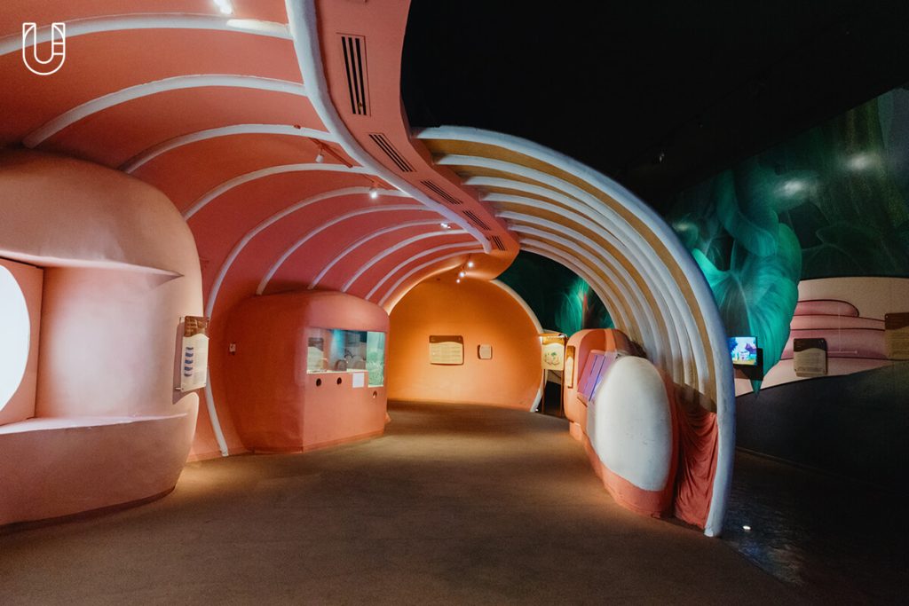 งู Siam Serpentarium พิพิธภัณฑ์งู สัตว์เลื้อยคลาน