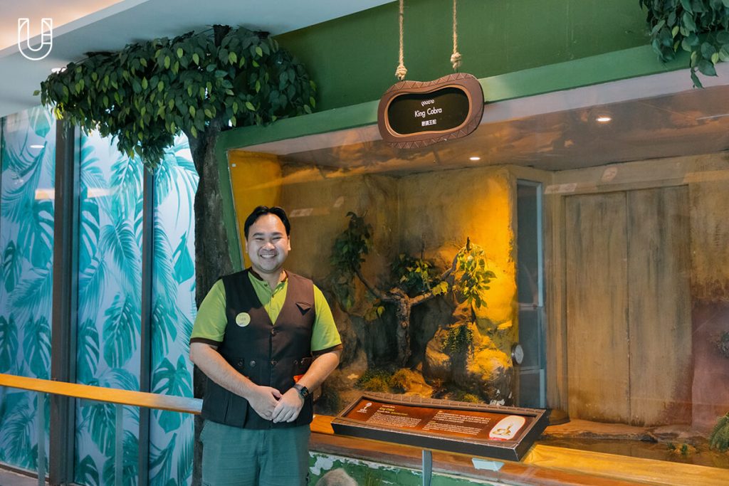 งู Siam Serpentarium พิพิธภัณฑ์งู สัตว์เลื้อยคลาน