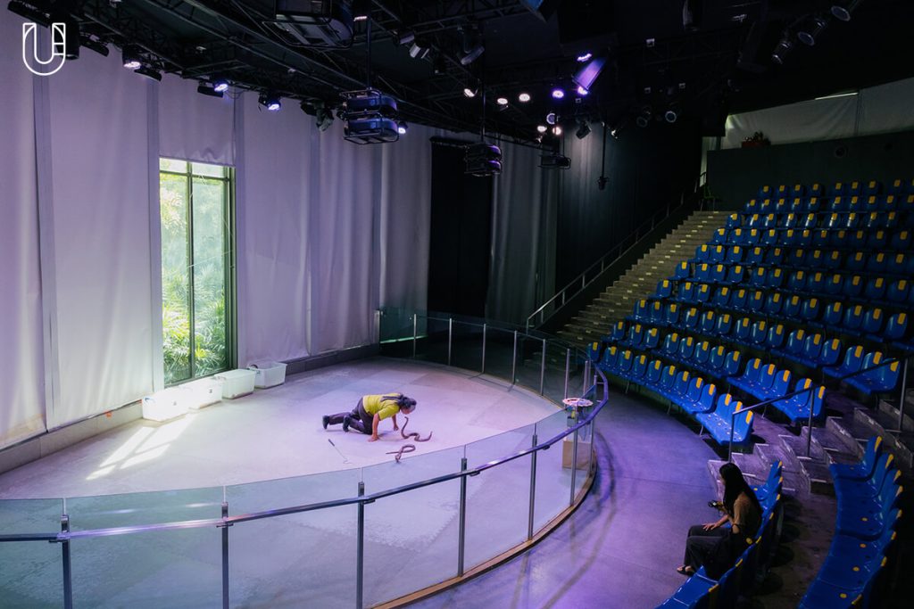 งู Siam Serpentarium พิพิธภัณฑ์งู สัตว์เลื้อยคลาน