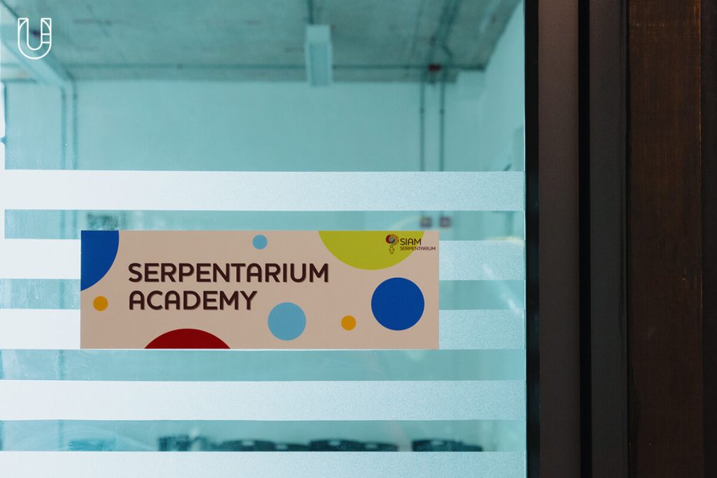 งู Siam Serpentarium พิพิธภัณฑ์งู สัตว์เลื้อยคลาน